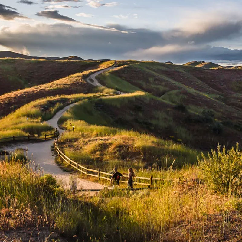 Scenic hiking trail in the Boise Foothills surrounded by lush greenery and clear blue skies.