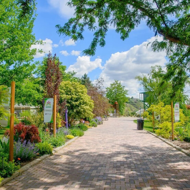 Discover the beauty of nature at the Idaho Botanical Garden in Boise. With scenic landscapes, diverse plants, and peaceful walking paths, it’s the perfect place to relax and explore.